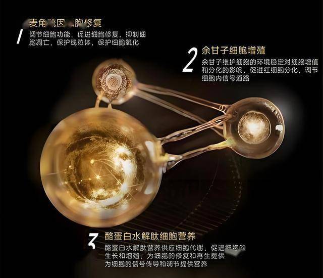 众汇wetrade平台怎么样众汇wetrade官网的秘密，万众期待的崛起之路是什么？